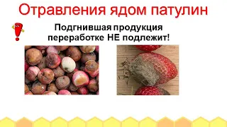 Профилактика немикробных отравлений (отравление ядом патулин)