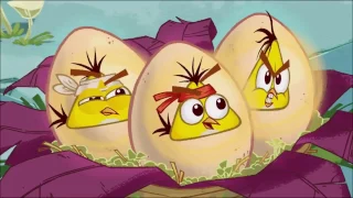 ANGRY BIRDS TOONS SEASON 1 EPISODE 5 - EGG SOUNDS