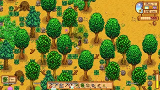 Stardew Valley (05/10/2021)