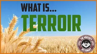 What is Terroir?