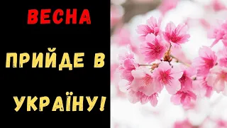 В Україну увірветься неймовірне потепління: коли чекати +17