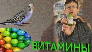 Витамины для птиц.