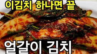 집밥💚입맛없을때 얼갈이 김치 하나면 집나간 입맛 돌아옵니다~~