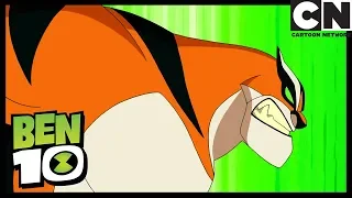 Ben 10 Français | Chat va mal - Nouvel Alien | Cartoon Network