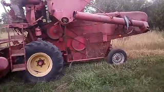 Kombajn Massey Ferguson 31