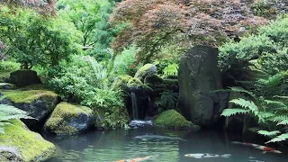 Oriental Style Waterfalls & Water Features