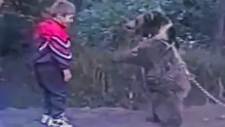 Хабиб Нурмагомедов  -  Борется с медведем в детстве!Или ты становишься лучше, или ломаешься!(1997)