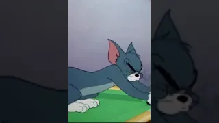 Tom and Jerry meme #shorts #trending #cartoon #tomandjerry