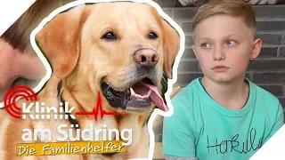 Will Paul ein Hund sein? Der Schüler will heißen wie das Haustier! | Die Familienhelfer | SAT.1