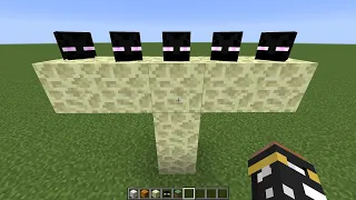 what if you create a LONG ENDER BOSS in MINECRAFT