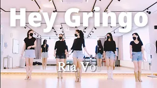 Hey Gringo Line Dance Demo|중급|Ria Vos