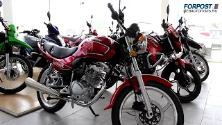 Компания «Gala Motors» начала продажу мотоциклов в Севастополе