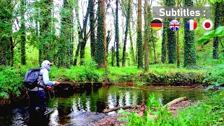 Beginning of the Dry Fly Season on a Stream-(Fly Fishing)[Trout Fishing]-Dry Fly