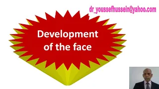 Development | Congenital anomalies | face | Palate | Median nasal process | Harelip | Cleft lip