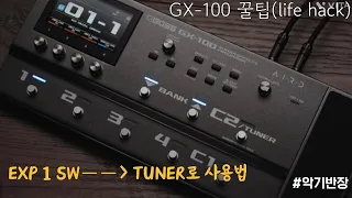 Boss GX-100   EXP 1 SW to TUNER