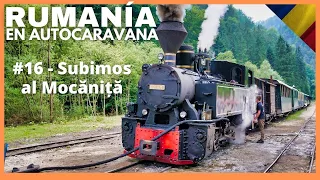 🇷🇴 Subimos al tren Mocăniță en Vișeu de Sus | Rumanía en autocaravana #16 | jose.loly.trotamundos