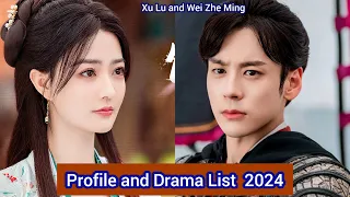 Xu Lu and Wei Zhe Ming (Lady Revenger Returns from the Fire) | Profile and Drama List 2024 |