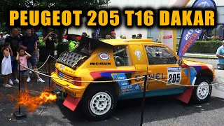 ENGINE LOOK, SOUND, WALK AROUND - Peugeot 205 T16 Turbo 16 Grand Raid Dakar Winner Rally Camel