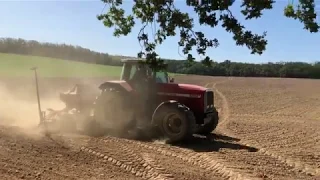 Massey Ferguson Setí pšenice 2019