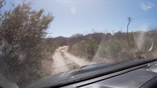 RAV4 tracks to beach