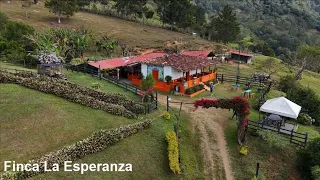 FINCA LA ESPERANZA