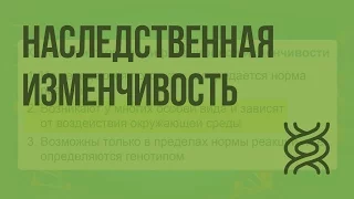 Наследственная изменчивость. Комбинативная и мутационная изменчивость. Видеоурок по биологии 10