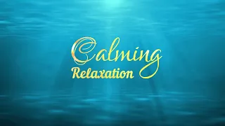 💖musique de relaxation des fonds marins💖