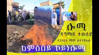 ገዛ ተጋዳሊት ማማ ለተንቻኤል "ሎሚ_ዳግማይ_ተወሊድ ዞም ደቀይ