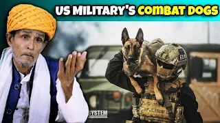 Villagers React To Military Dogs that are specially Trained for Combat ! Tribal People React
