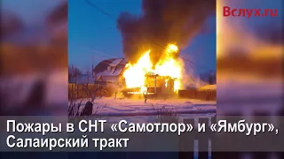 Пожары на дачах по Салаирскому тракту в Тюмени