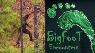 Provo Canyon Bigfoot Encounter?