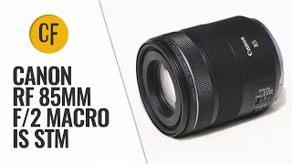 Canon RF 85mm f/2 Macro IS STM lens review with samples