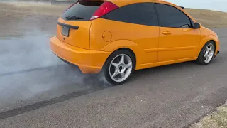 V8 Focus burnout