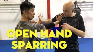 Open Hand Sparring: Bagua vs Wing Chun vs MMA