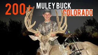 200+ Colorado Buck! Mule Deer Bow Hunt (Eastmans')