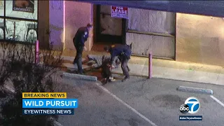 Chase of armed robbery suspect ends in bizarre manhunt in Downey