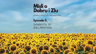 Misli o Dobru i zlu - Ep. 005 - Episkop Nikolaj Velimirovic #short