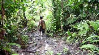 Trekking in Siberut