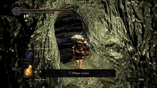 Dark Souls How to get Back from Tomb of the Giants to Firelink Shrine (Without Warp) No Fast travel