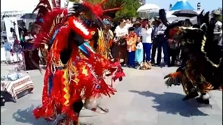 [150501] 인디언 쿠스코 공연 - 산다는 건 (홍진영) (고양국제꽃박람회)