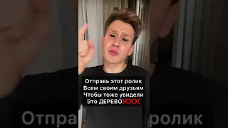 Если ты увидишь это дерево, то немедленно БЕГИ