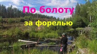 #466 | Микро речка | Форель, щука, окунь, плотва, уклейка |