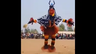 Unbelievable Zaouli Dance Routines You Have to See to Believe!