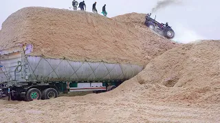 Extreme Way They Load Trucks With Tons of Sugarcane Waste