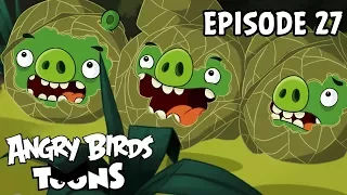 Angry Birds Toons | Green Pig Soup - S1 Ep27