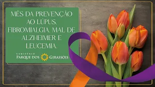 Mês da Prevenção ao Lúpus, Fibromialgia, Mal de Alzheimer e Leucemia - Parque dos Girassóis