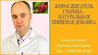 Жиросжигатель гуарана - натуральная пищевая добавка