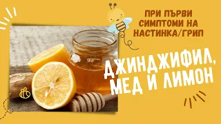 ДЖИНДЖИФИЛ, МЕД и ЛИМОН | ИМУНОСТИМУЛАТОР