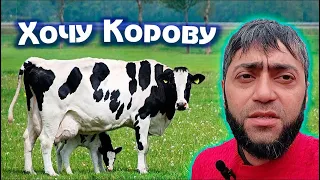 По моему Хозяйству///Хочу Корову