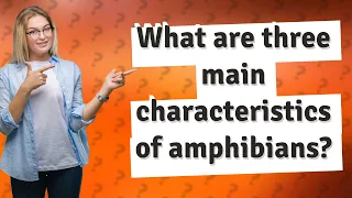 What are three main characteristics of amphibians?